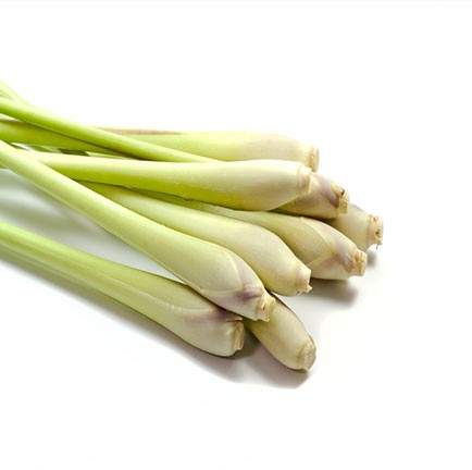 Lemongrass olie 10 ml